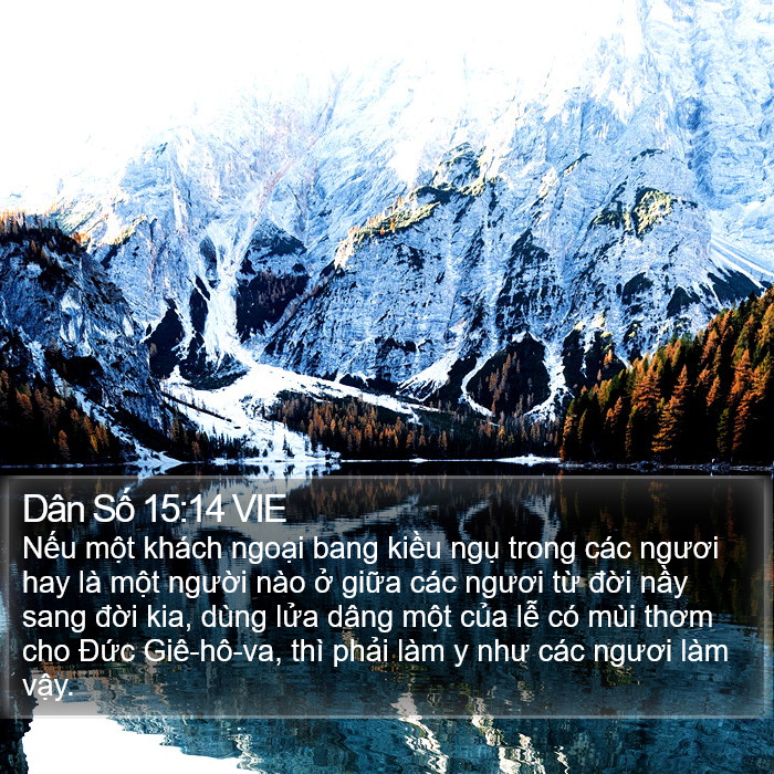 Dân Số 15:14 VIE Bible Study