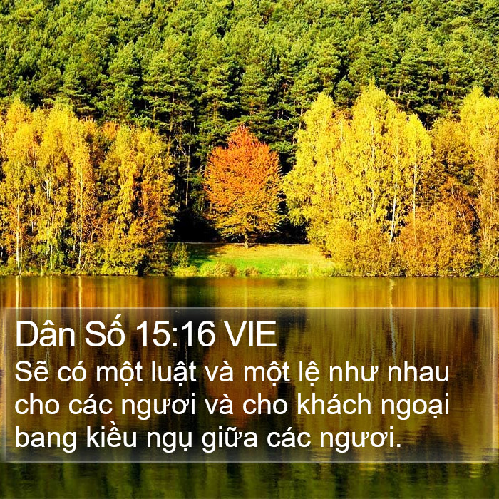 Dân Số 15:16 VIE Bible Study