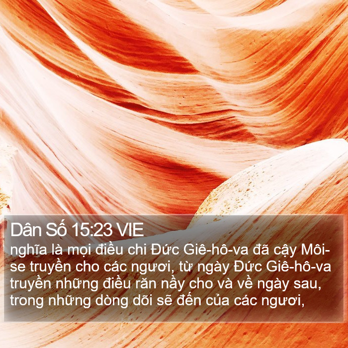 Dân Số 15:23 VIE Bible Study