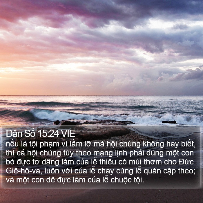 Dân Số 15:24 VIE Bible Study