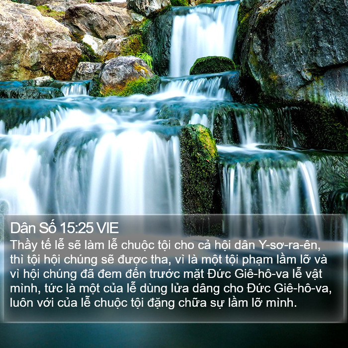 Dân Số 15:25 VIE Bible Study