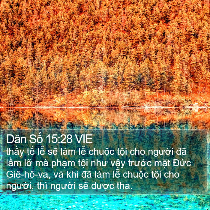 Dân Số 15:28 VIE Bible Study