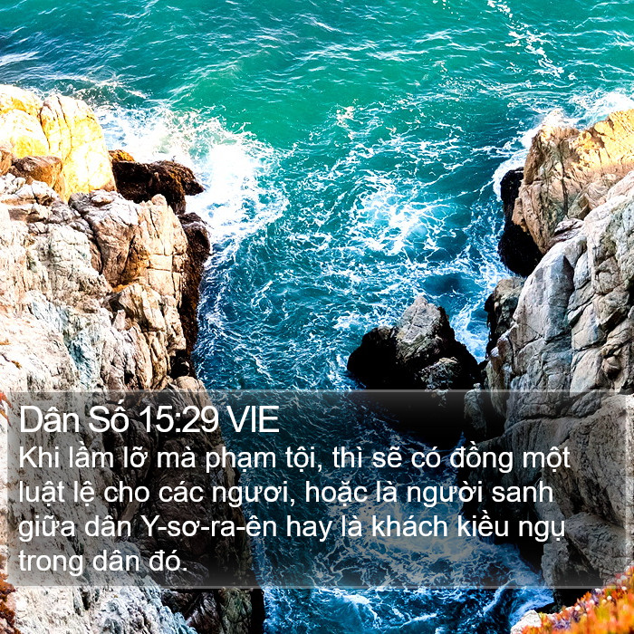 Dân Số 15:29 VIE Bible Study