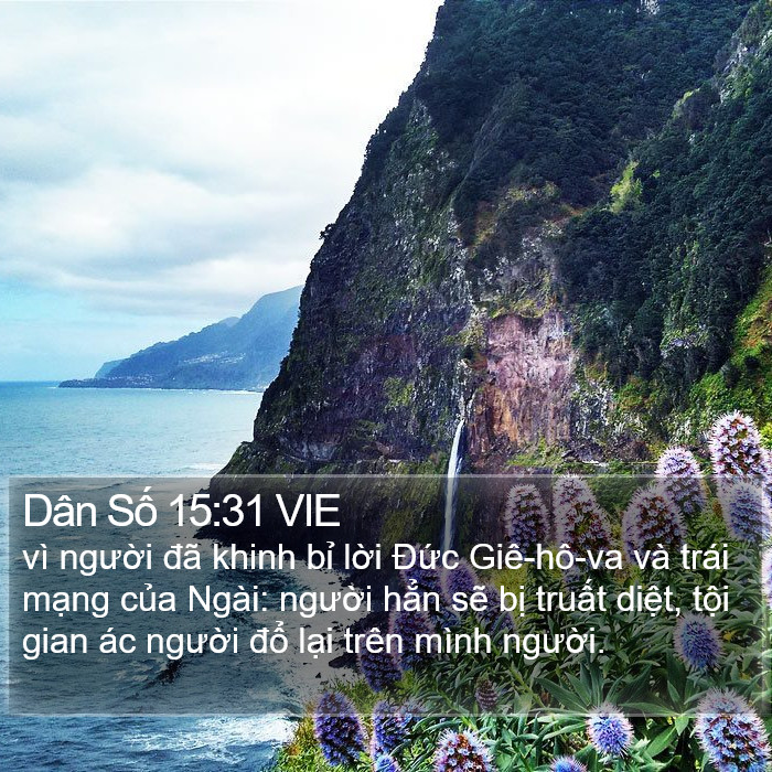 Dân Số 15:31 VIE Bible Study