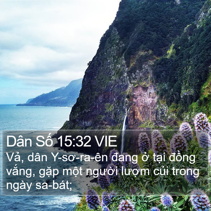 Dân Số 15:32 VIE Bible Study