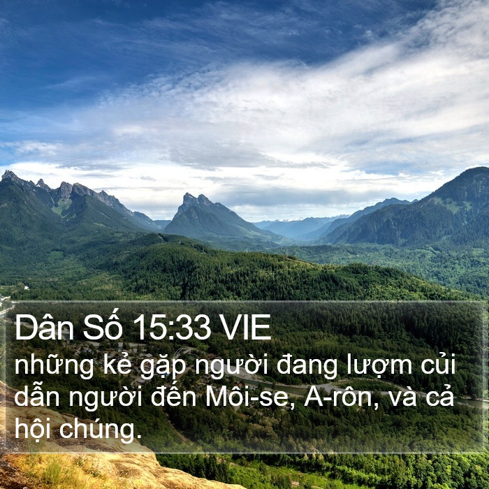 Dân Số 15:33 VIE Bible Study