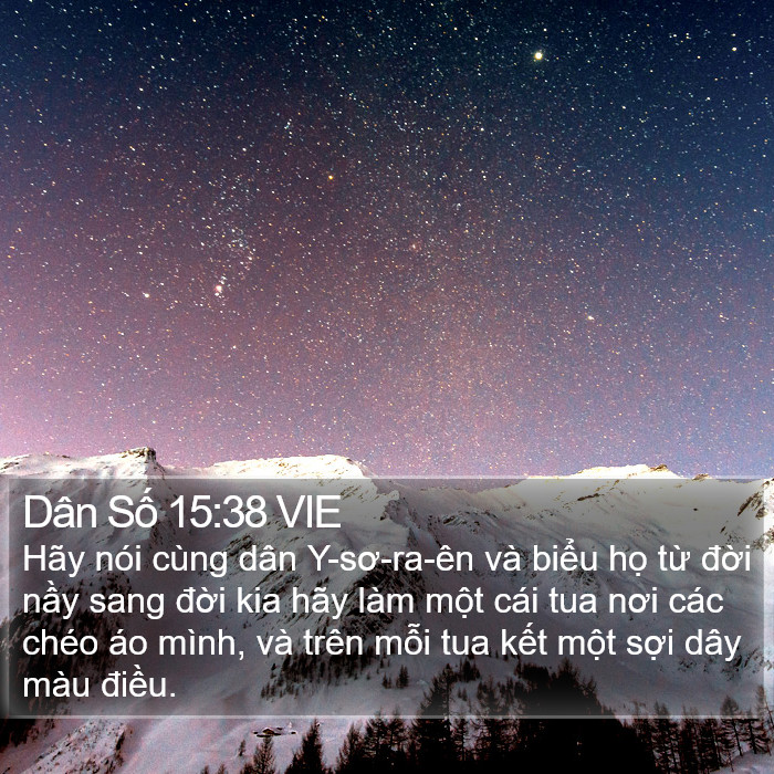 Dân Số 15:38 VIE Bible Study