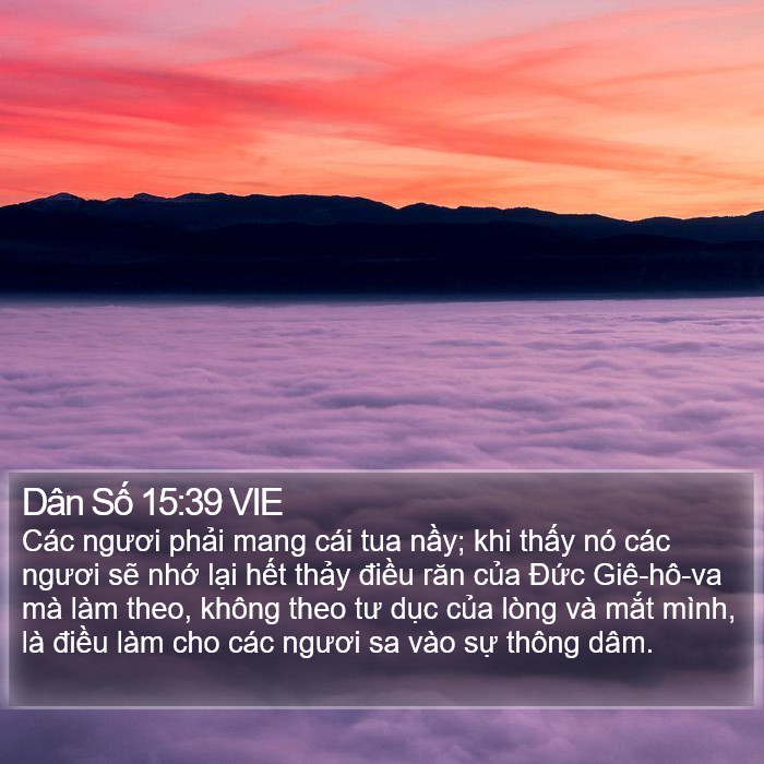 Dân Số 15:39 VIE Bible Study