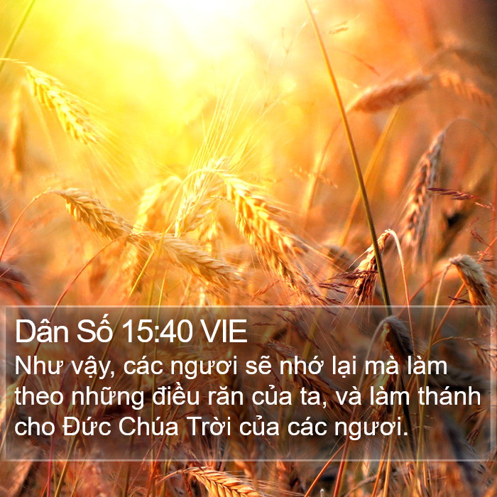 Dân Số 15:40 VIE Bible Study