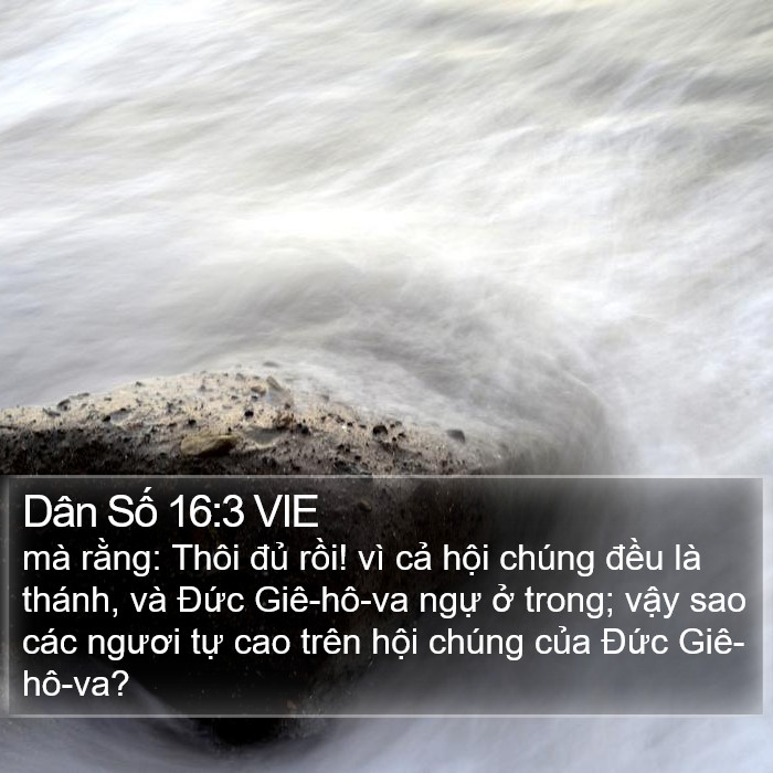 Dân Số 16:3 VIE Bible Study