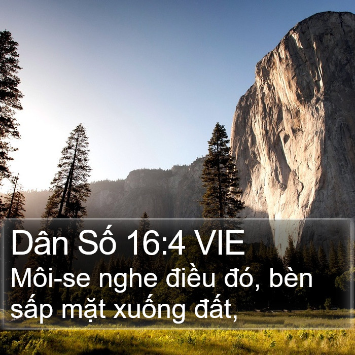 Dân Số 16:4 VIE Bible Study