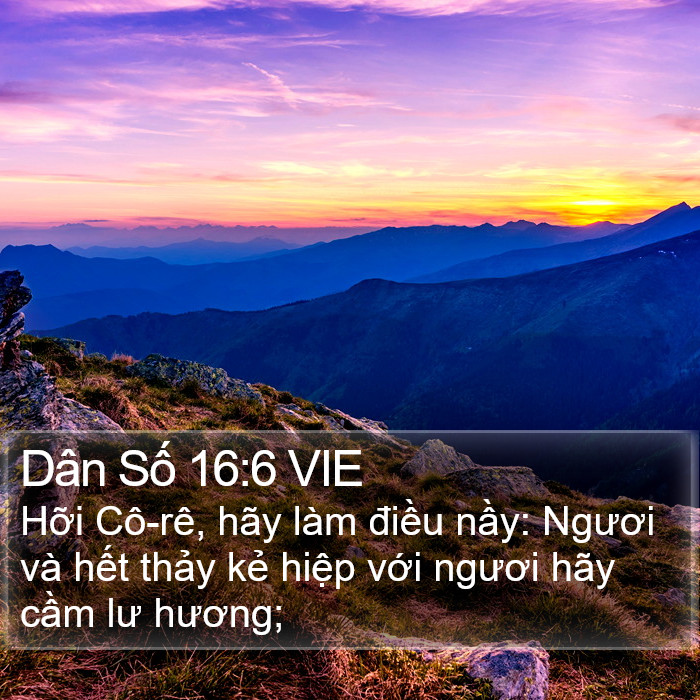 Dân Số 16:6 VIE Bible Study