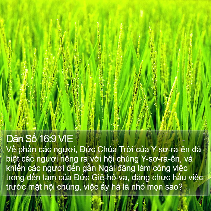 Dân Số 16:9 VIE Bible Study