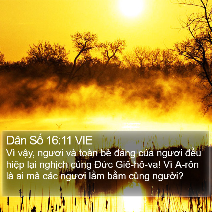 Dân Số 16:11 VIE Bible Study