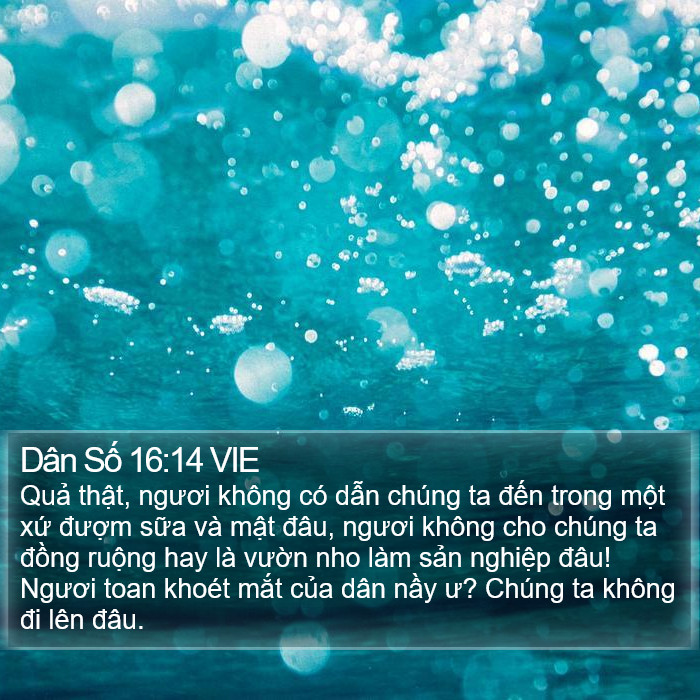 Dân Số 16:14 VIE Bible Study