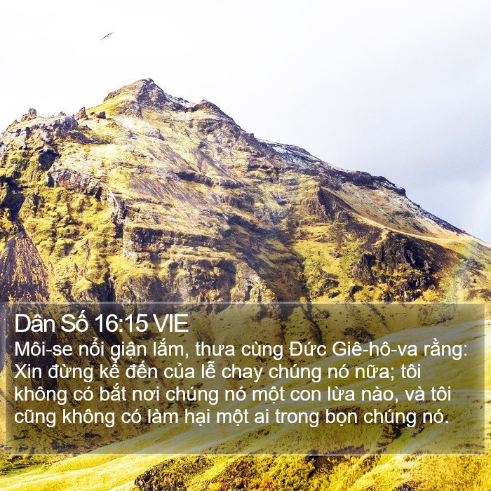 Dân Số 16:15 VIE Bible Study