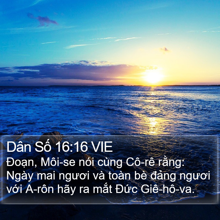 Dân Số 16:16 VIE Bible Study
