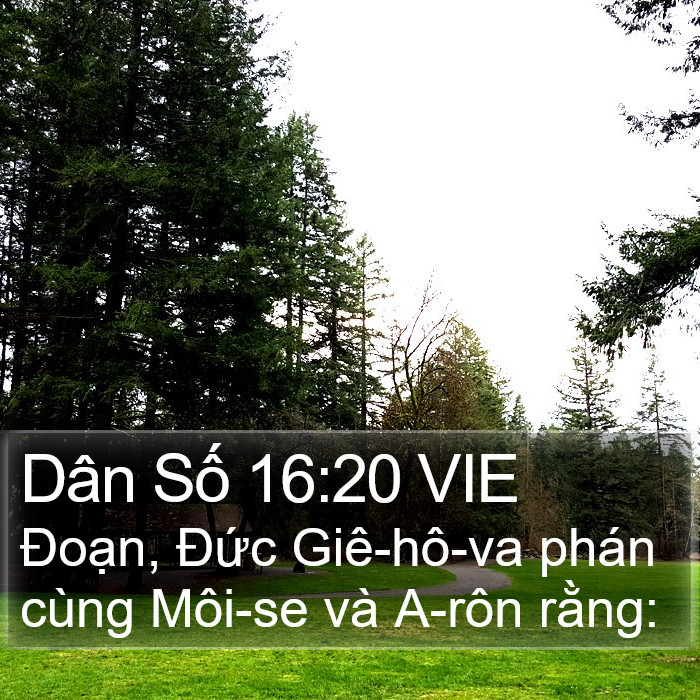 Dân Số 16:20 VIE Bible Study