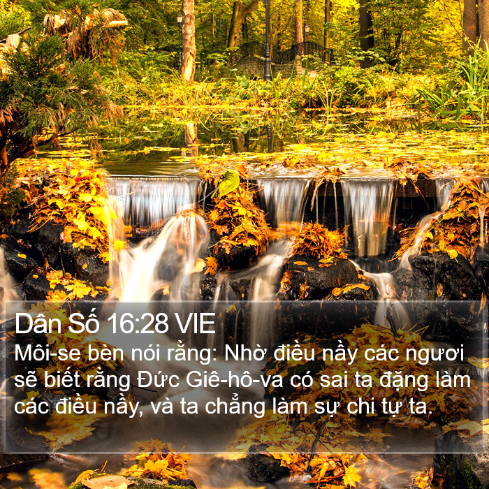 Dân Số 16:28 VIE Bible Study