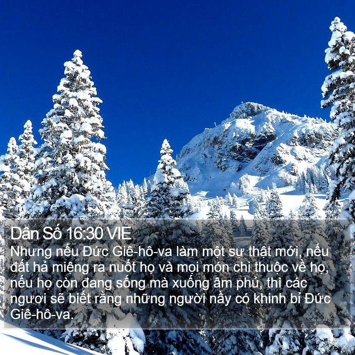 Dân Số 16:30 VIE Bible Study