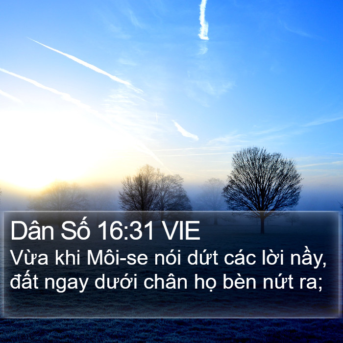 Dân Số 16:31 VIE Bible Study