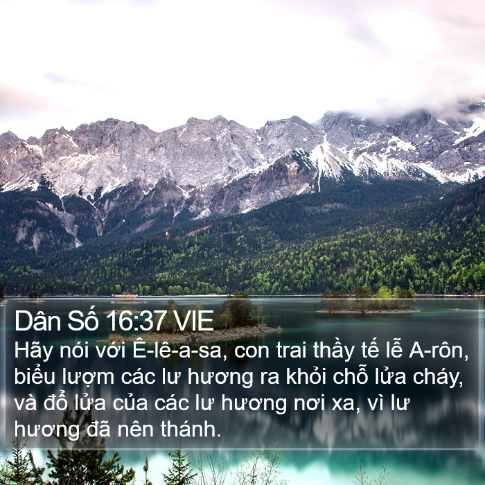 Dân Số 16:37 VIE Bible Study