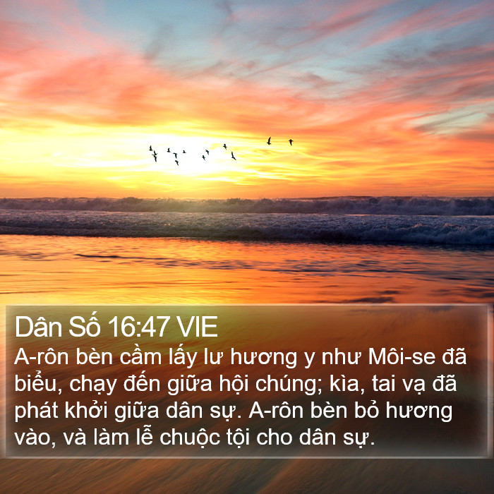 Dân Số 16:47 VIE Bible Study