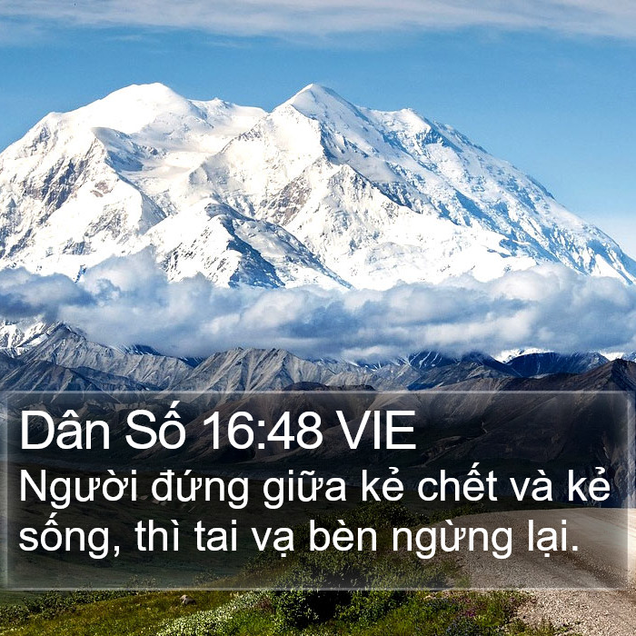 Dân Số 16:48 VIE Bible Study
