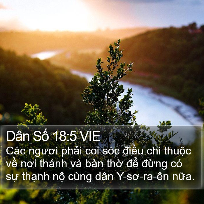 Dân Số 18:5 VIE Bible Study