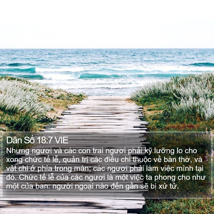 Dân Số 18:7 VIE Bible Study