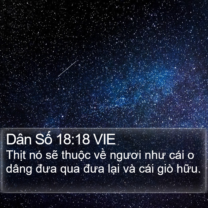 Dân Số 18:18 VIE Bible Study