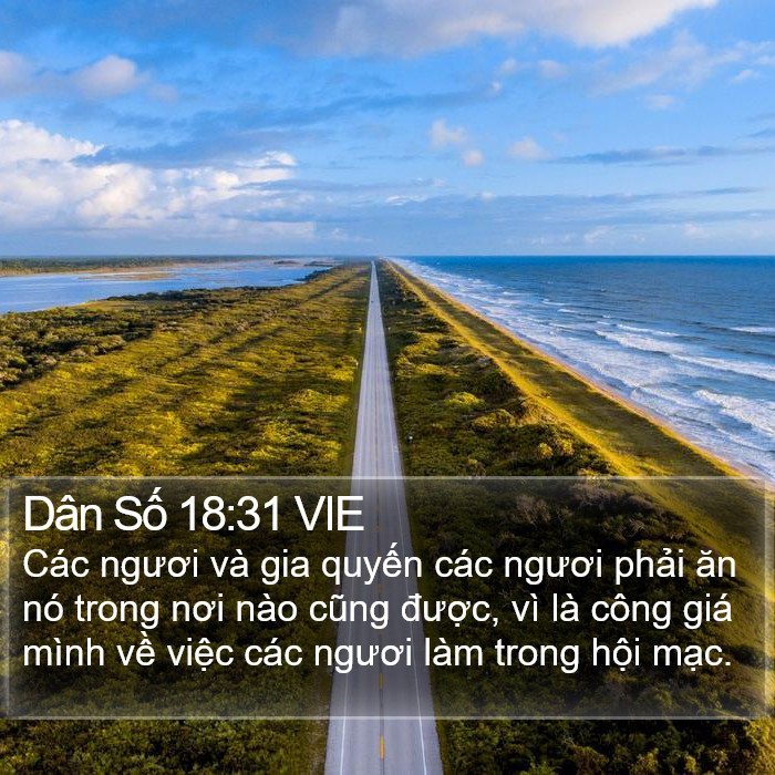Dân Số 18:31 VIE Bible Study