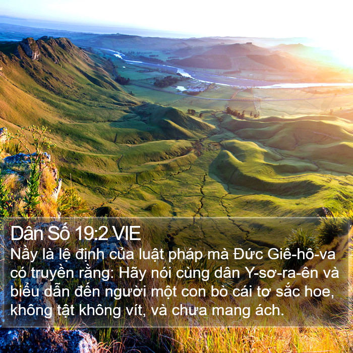 Dân Số 19:2 VIE Bible Study