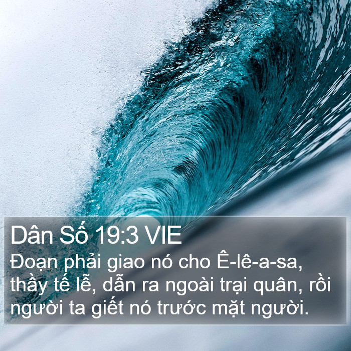 Dân Số 19:3 VIE Bible Study