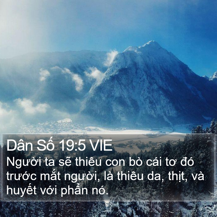 Dân Số 19:5 VIE Bible Study
