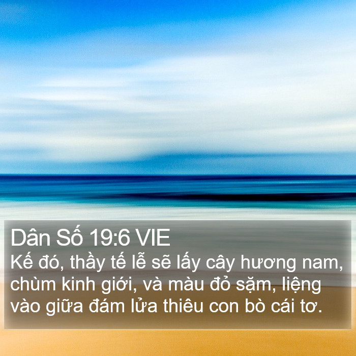Dân Số 19:6 VIE Bible Study