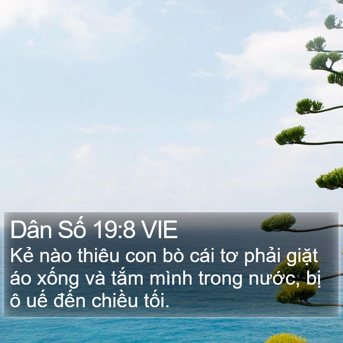 Dân Số 19:8 VIE Bible Study