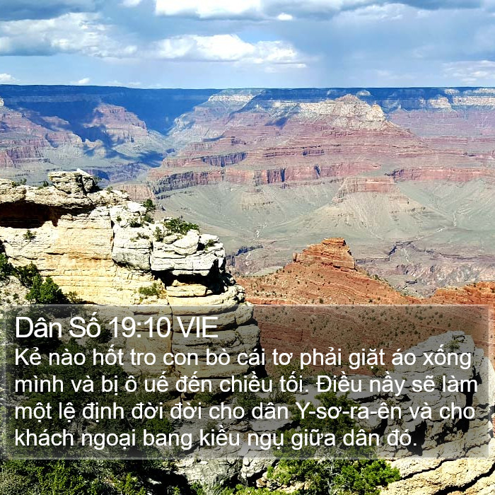 Dân Số 19:10 VIE Bible Study