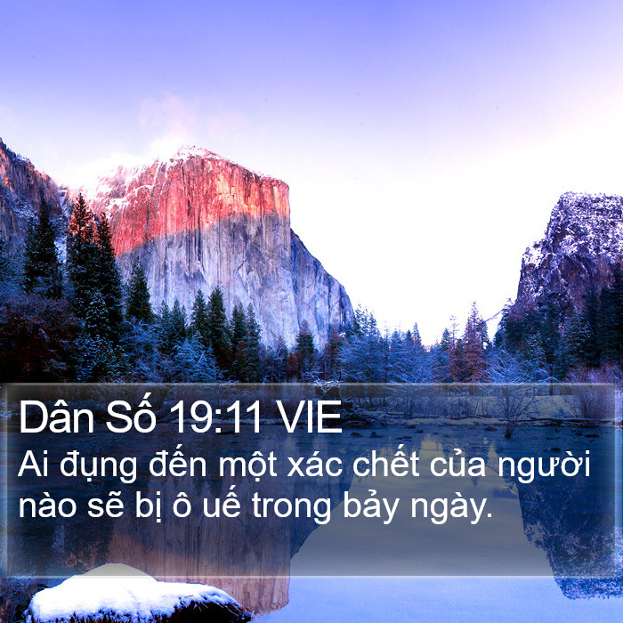 Dân Số 19:11 VIE Bible Study