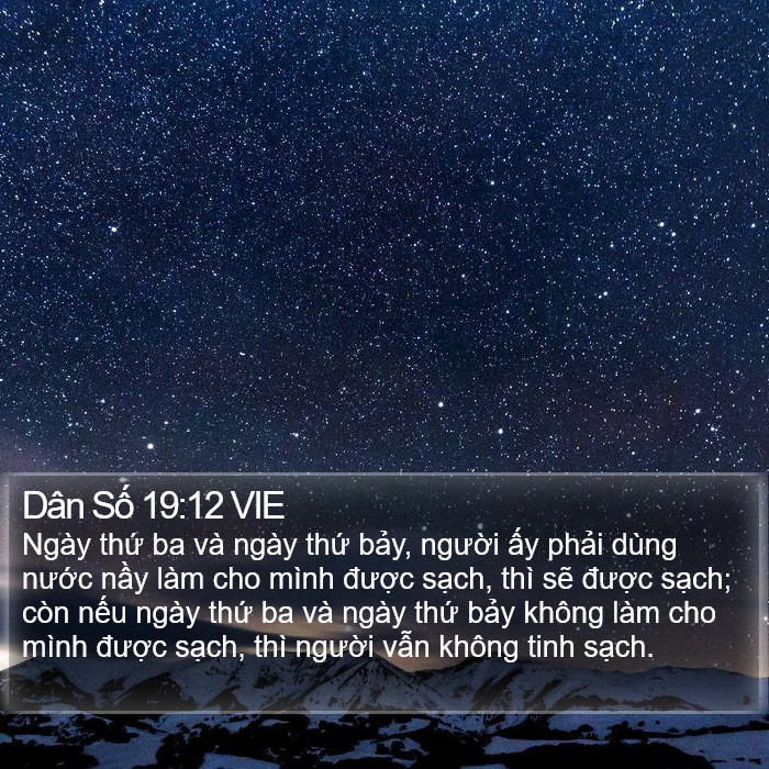 Dân Số 19:12 VIE Bible Study