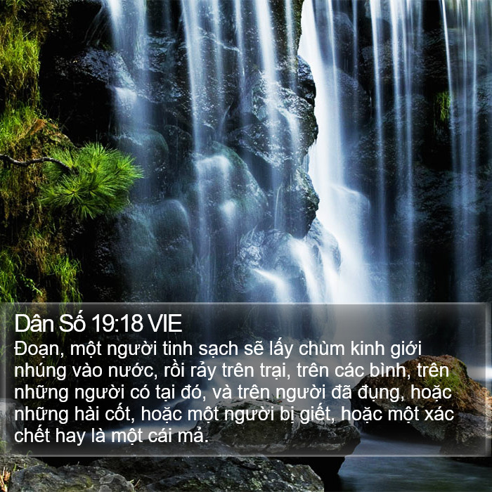 Dân Số 19:18 VIE Bible Study