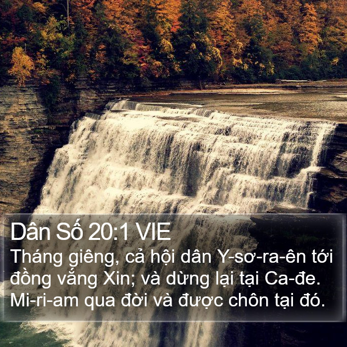 Dân Số 20:1 VIE Bible Study