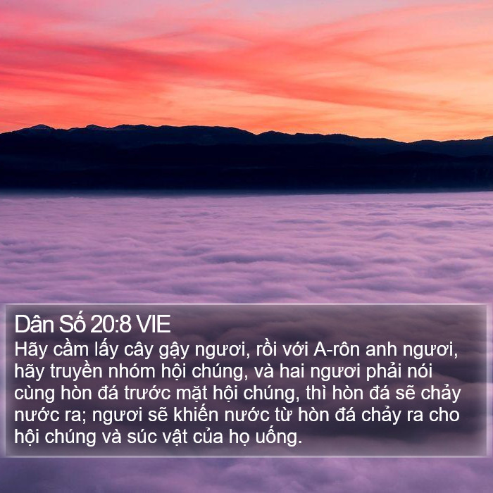 Dân Số 20:8 VIE Bible Study