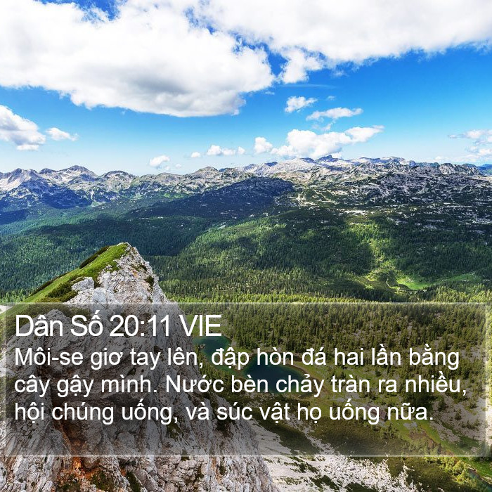 Dân Số 20:11 VIE Bible Study