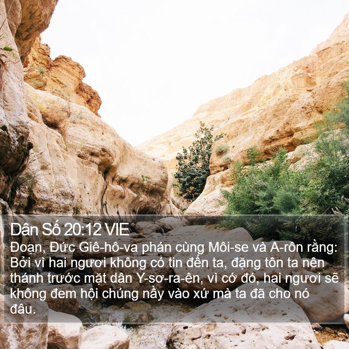 Dân Số 20:12 VIE Bible Study