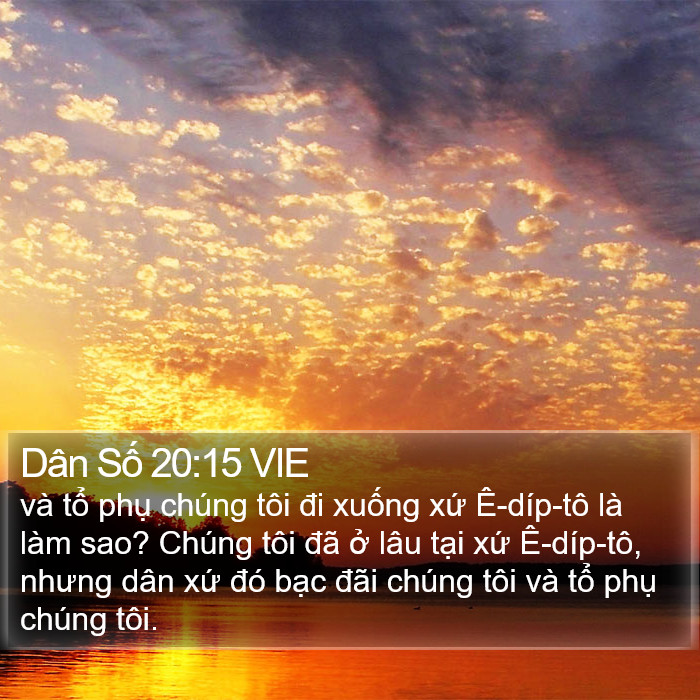 Dân Số 20:15 VIE Bible Study