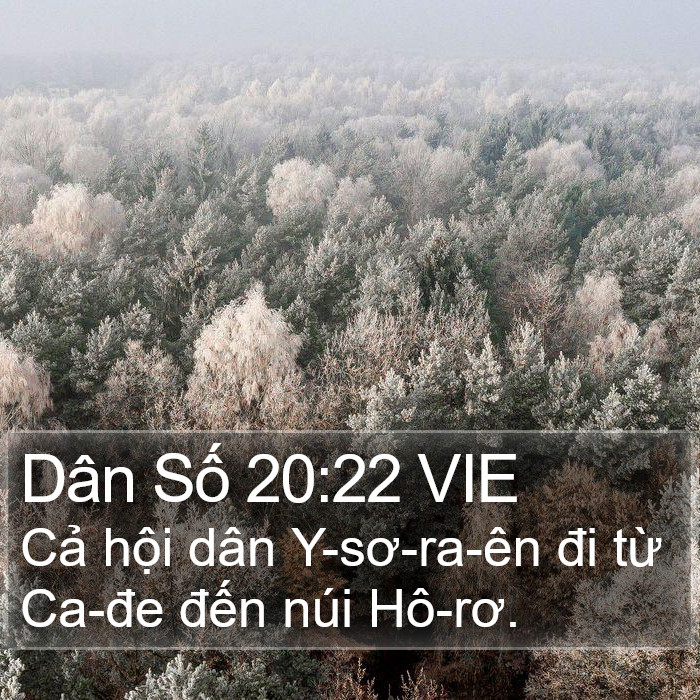 Dân Số 20:22 VIE Bible Study