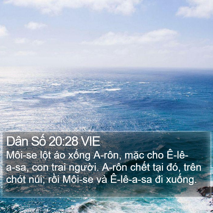 Dân Số 20:28 VIE Bible Study