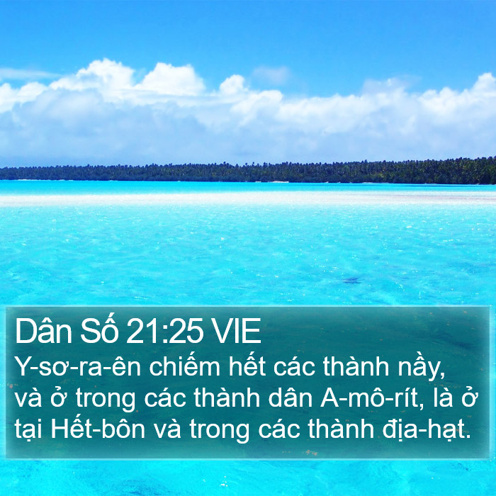 Dân Số 21:25 VIE Bible Study