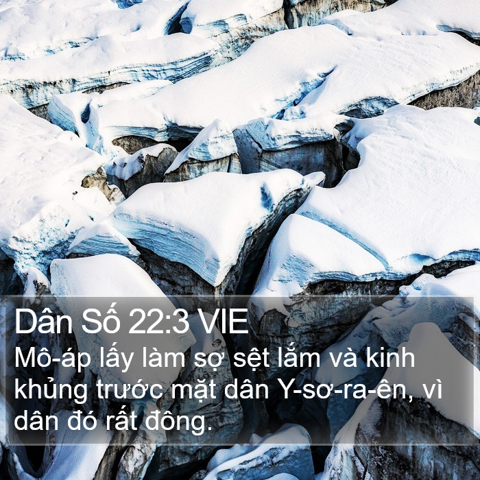 Dân Số 22:3 VIE Bible Study